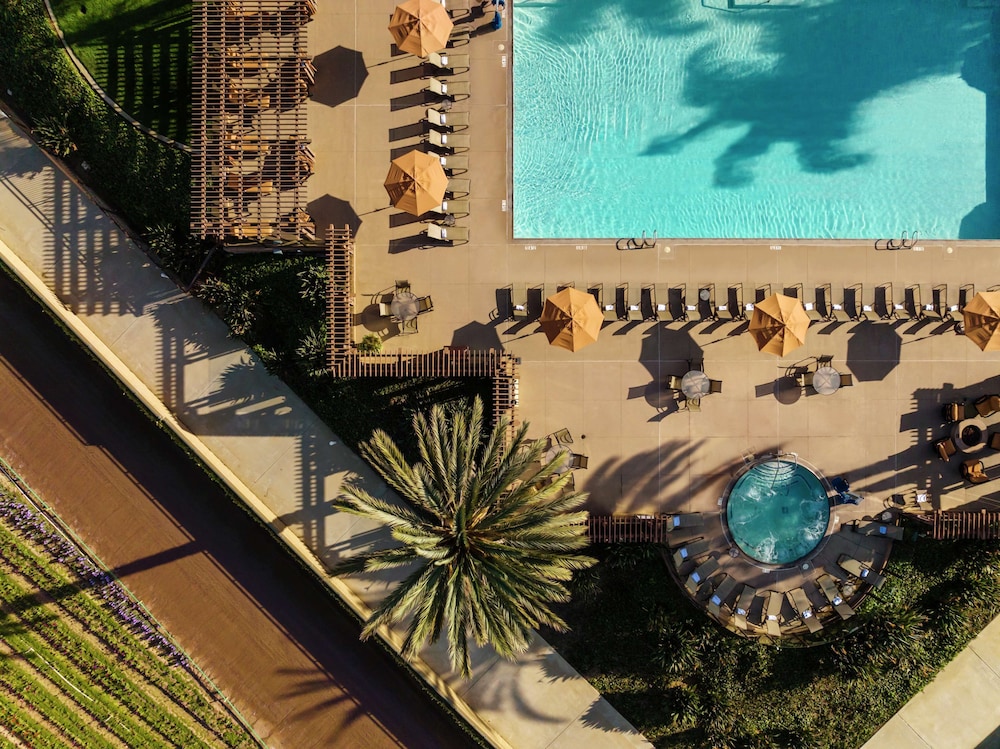 The Cassara Carlsbad Tapestry Collection by Hilton - photo 64