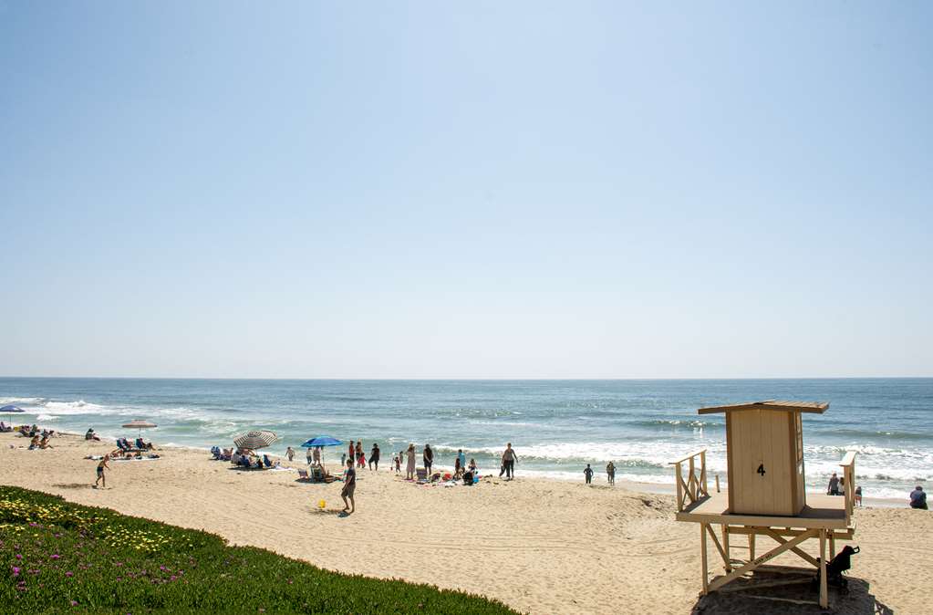 Ocean Palms Beach Resort - photo 116