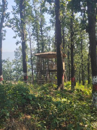 Kanaar Jungle View Resort — Rishikesh — photo 5