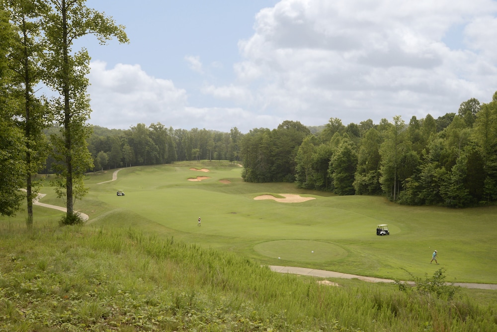 Dale Hollow Lake State Resort Park - photo 16