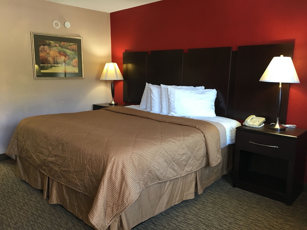 Pine Tree Inn - photo 6