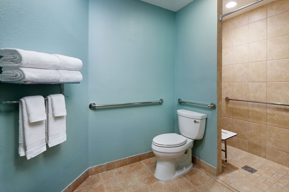 Sheraton Vistana Resort Villas Lake Buena Vista Orlando - photo 46