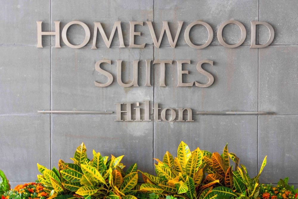 Homewood Suites by Hilton Boston Logan Airport Chelsea - photo 45