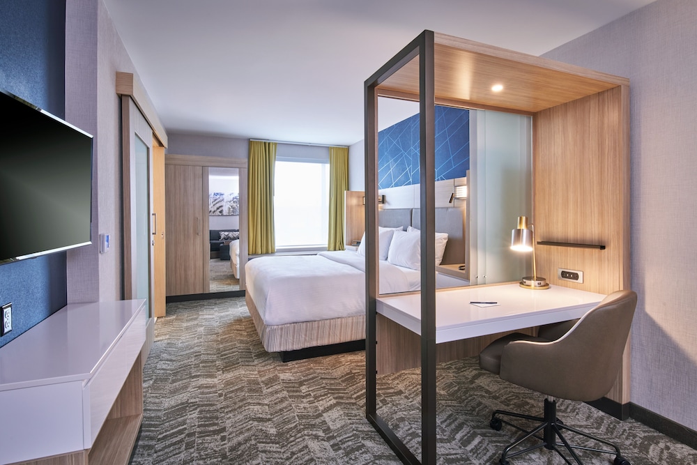 SpringHill Suites by Marriott Detroit Dearborn - photo 8