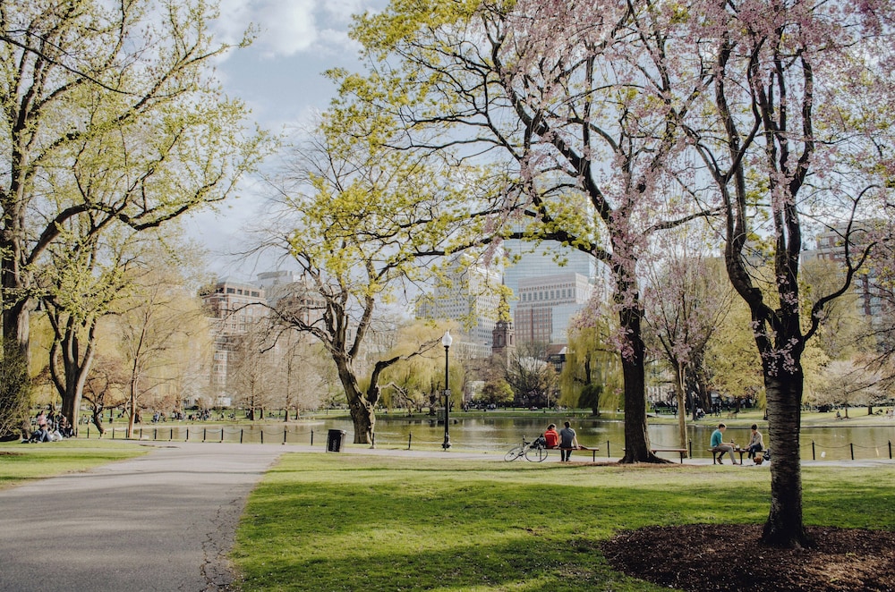 The College Club of Boston - photo 34