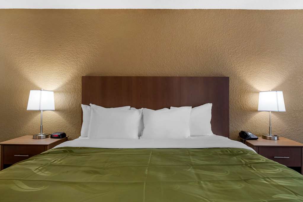 Quality Inn Saint Petersburg North Tampa Bay - photo 17