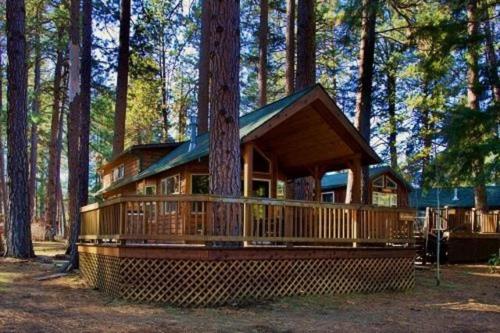 Cold Springs Resort - photo 18