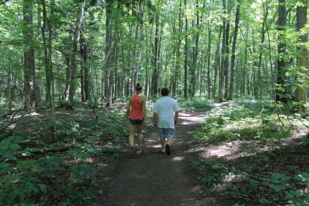 Birchwood Resort & Campground - photo 30