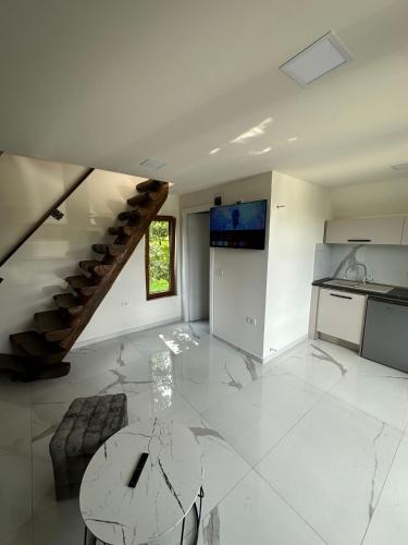 Cabana A in Borsa, Romania