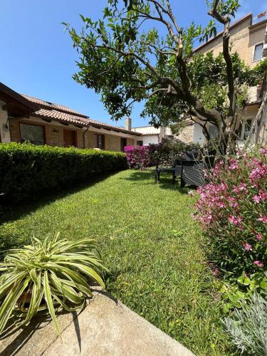 Il Cortile Delle Zagare in Pollica, Italy