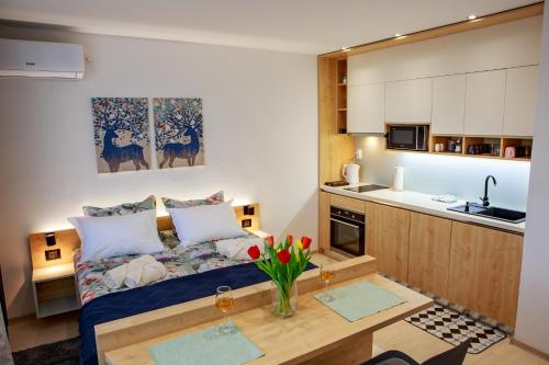Studio apartman D7 — 4-Star Luxury Hotel in Vukovar, Croatia