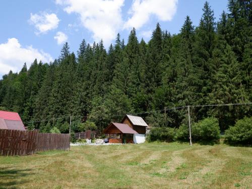 Casa Valer Arieseni — Arieseni — photo 2