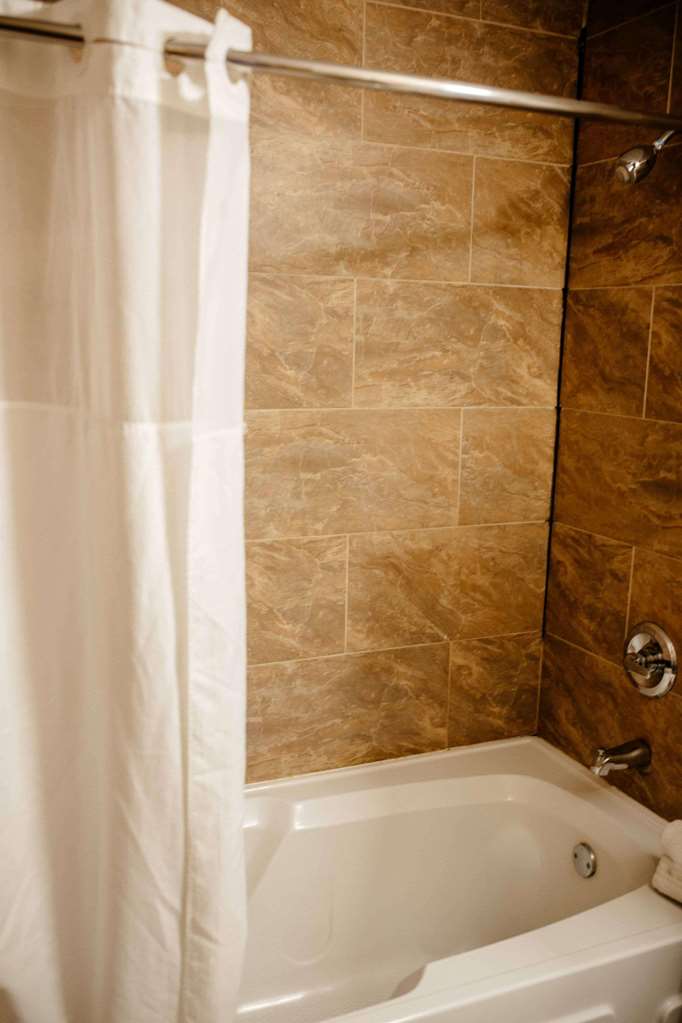 Country Inn & Suites By Radisson Battle Creek MI - photo 28