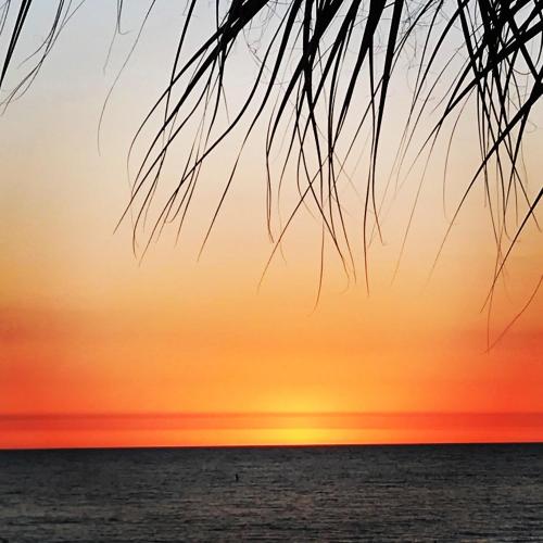 120 Surf Song Resort - photo 10