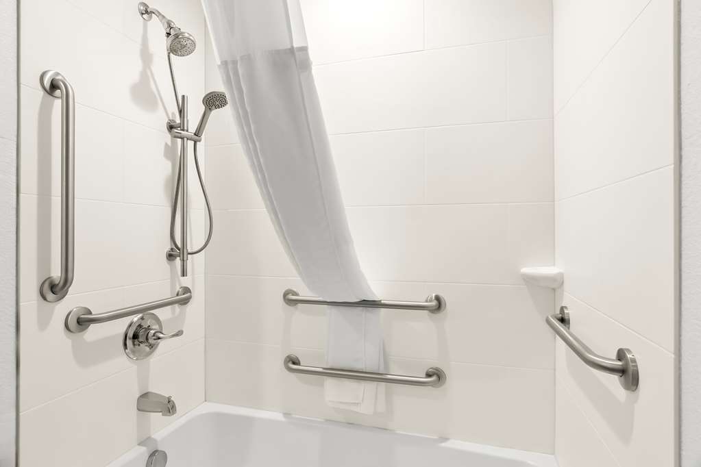 Comfort Suites Rensselaer near Fair Oaks - photo 20
