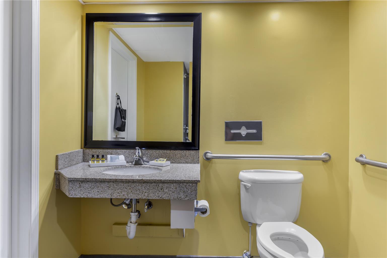 Best Western Plus Suites Greenville - photo 16