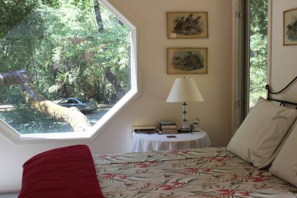Glen Cameron Holiday - photo 3