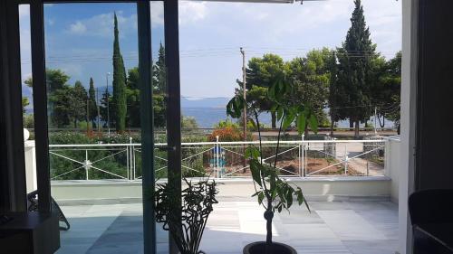 A Beautiful Maisonette Next To The Sea With A Dreaming View 19489569 — Galaxidhion