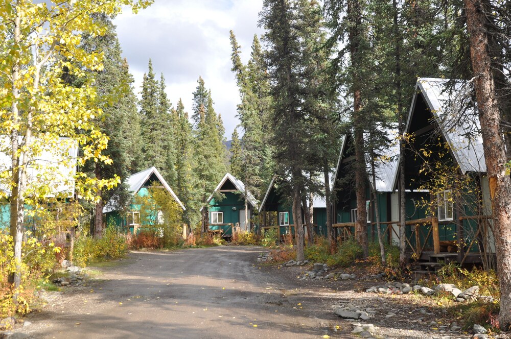 Denali Perch Resort - photo 40