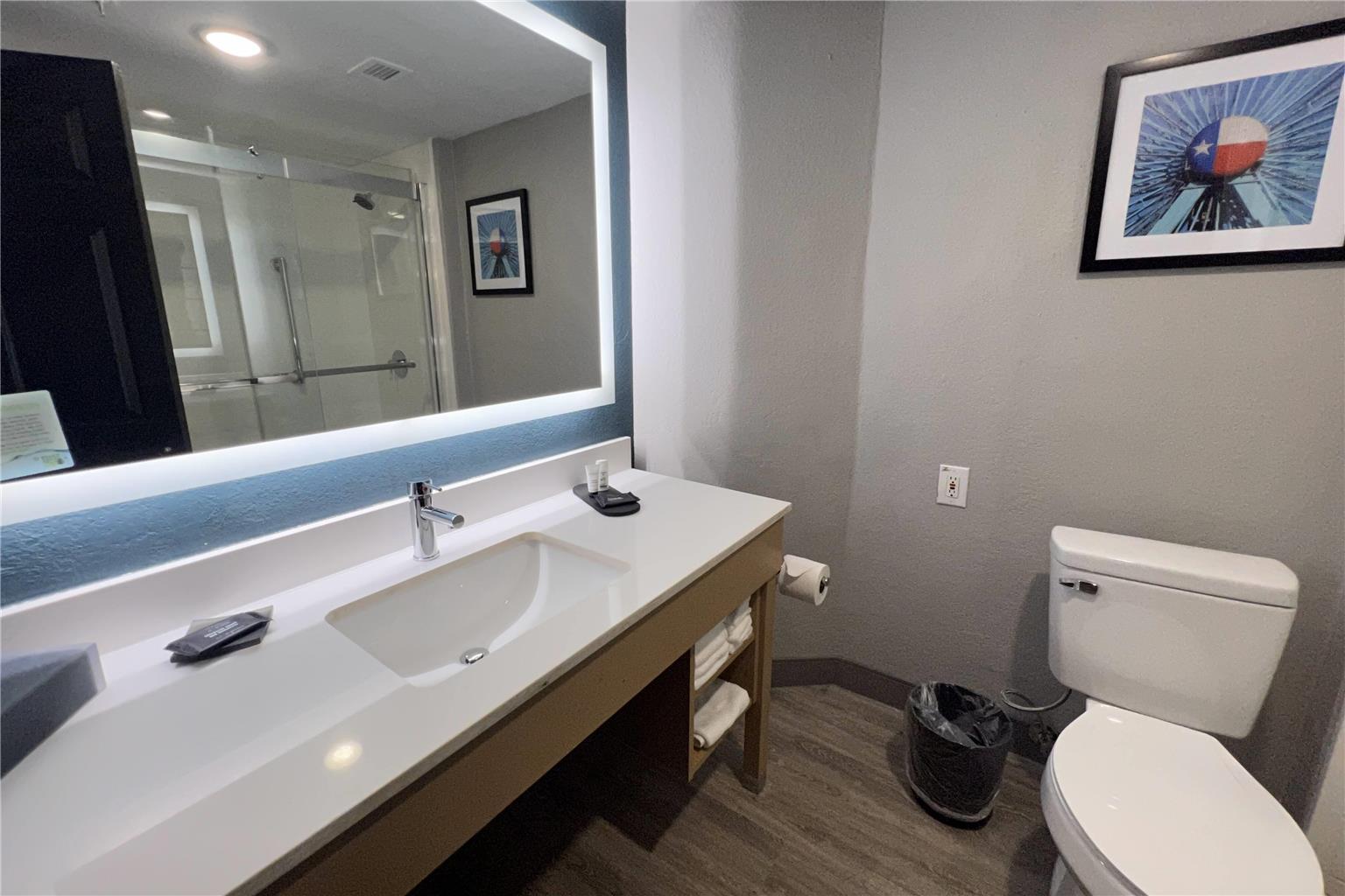 La Quinta Inn & Suites by Wyndham Dallas Arlington South - photo 13