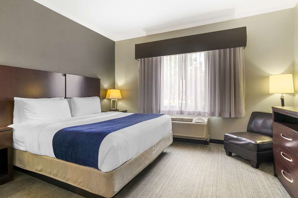 Best Western Plus Olathe Hotel - photo 12
