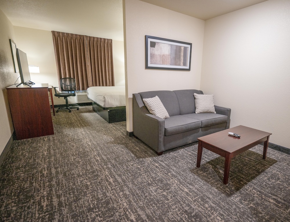 Cobblestone Hotel & Suites Lamar - photo 28