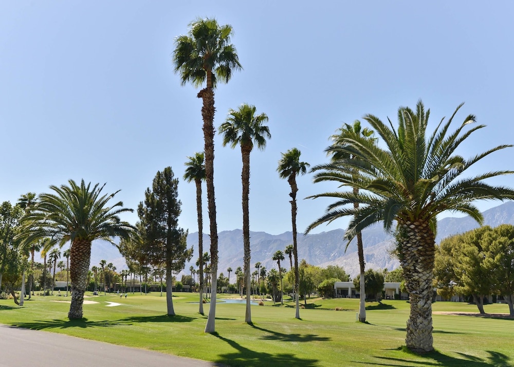 Laguna Villa at Desert Princess Resort - photo 26