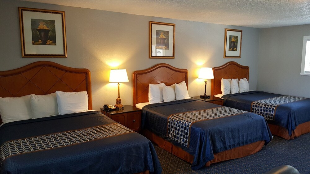 Lake Ridge Hotel - photo 9