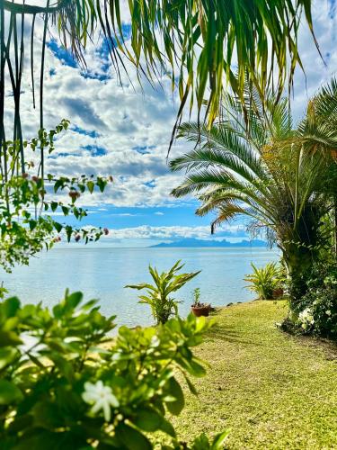 O'coco Bungalow Breathtaking waterfront views endless memories — 4-Star Luxury Hotel in Paea, French Polynesia