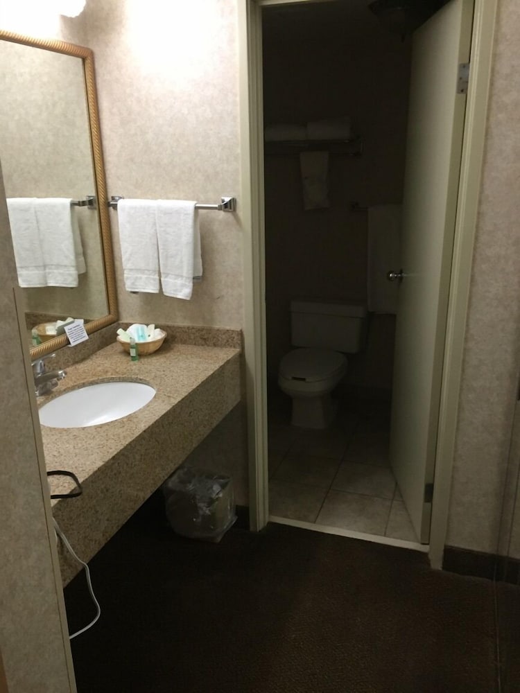 Quality Inn & Suites Albuquerque Midtown University Area - photo 18