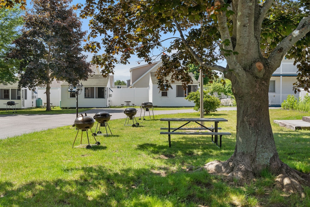 The Beaches Motel & Cottages - photo 54
