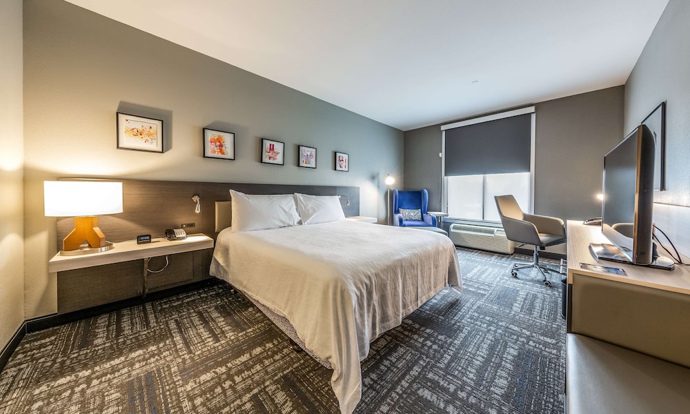 Hilton Garden Inn Beaumont TX - photo 10