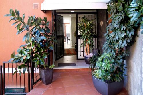 Marvit Affittacamere — Monterosso Al Mare — photo 3