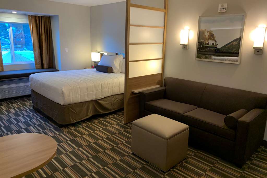 Microtel Inn & Suites by Wyndham Georgetown Lake - photo 14