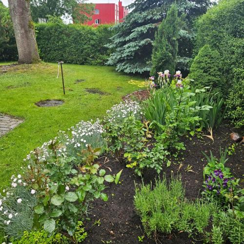 Rusnes Zvejas 21610550 — Rusne