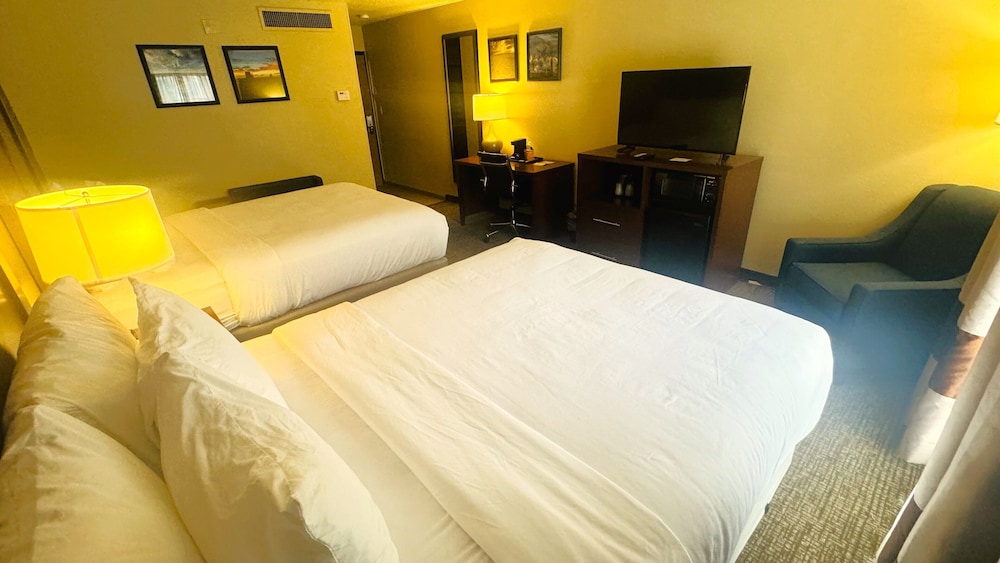 Comfort Inn Salt Lake City Downtown - photo 22