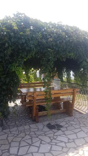 Kiko — Senj — photo 2