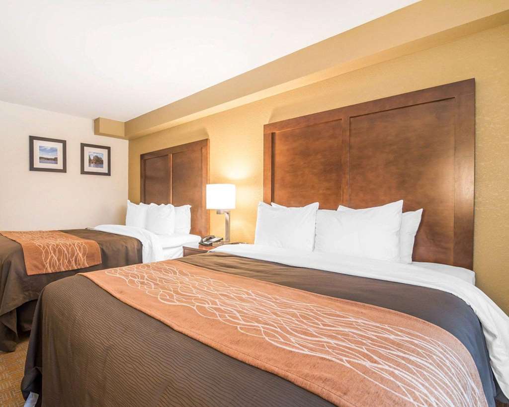 Comfort Inn & Suites Brattleboro I 91 - photo 6