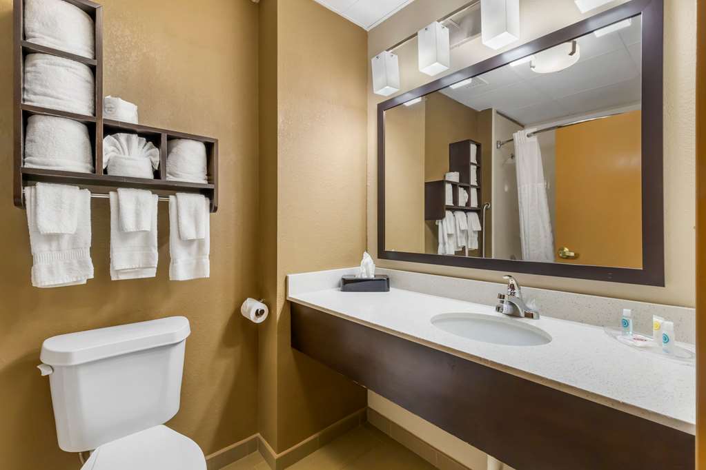 Comfort Suites Regency Park - photo 9