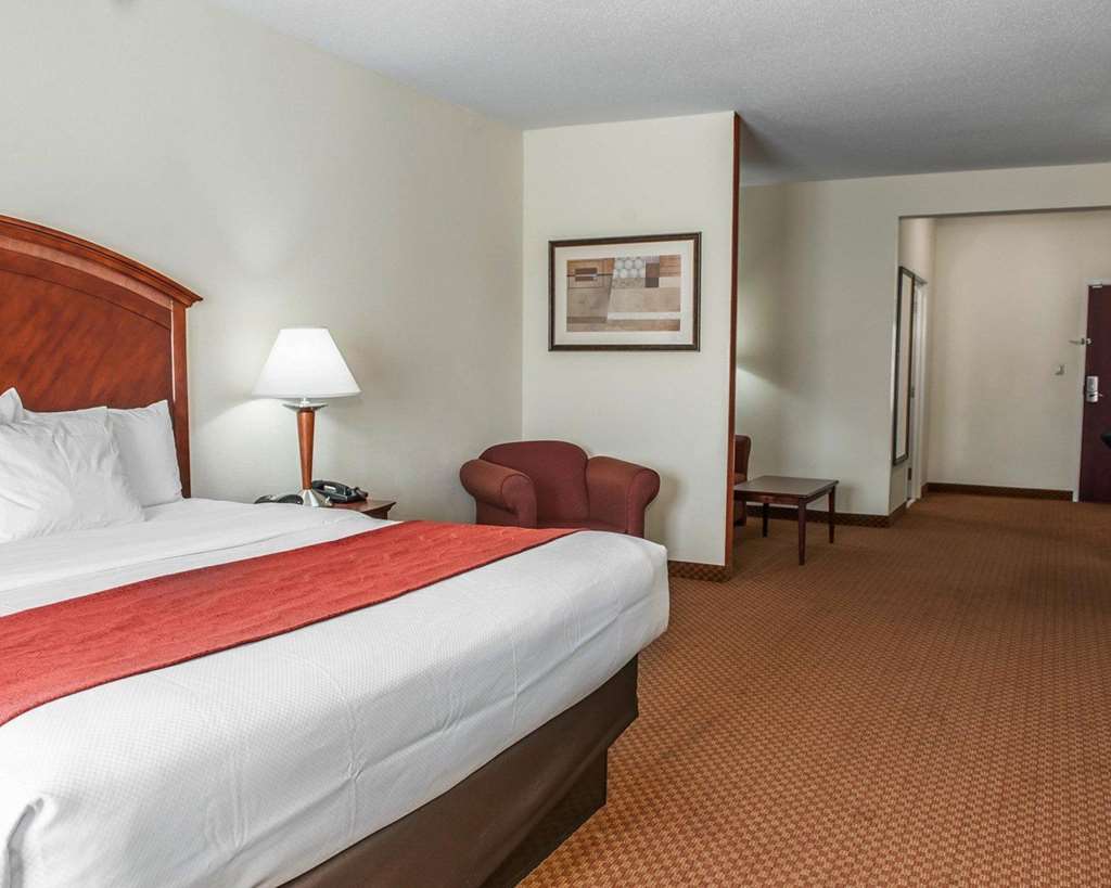 Comfort Suites near Indianapolis Airport - photo 19