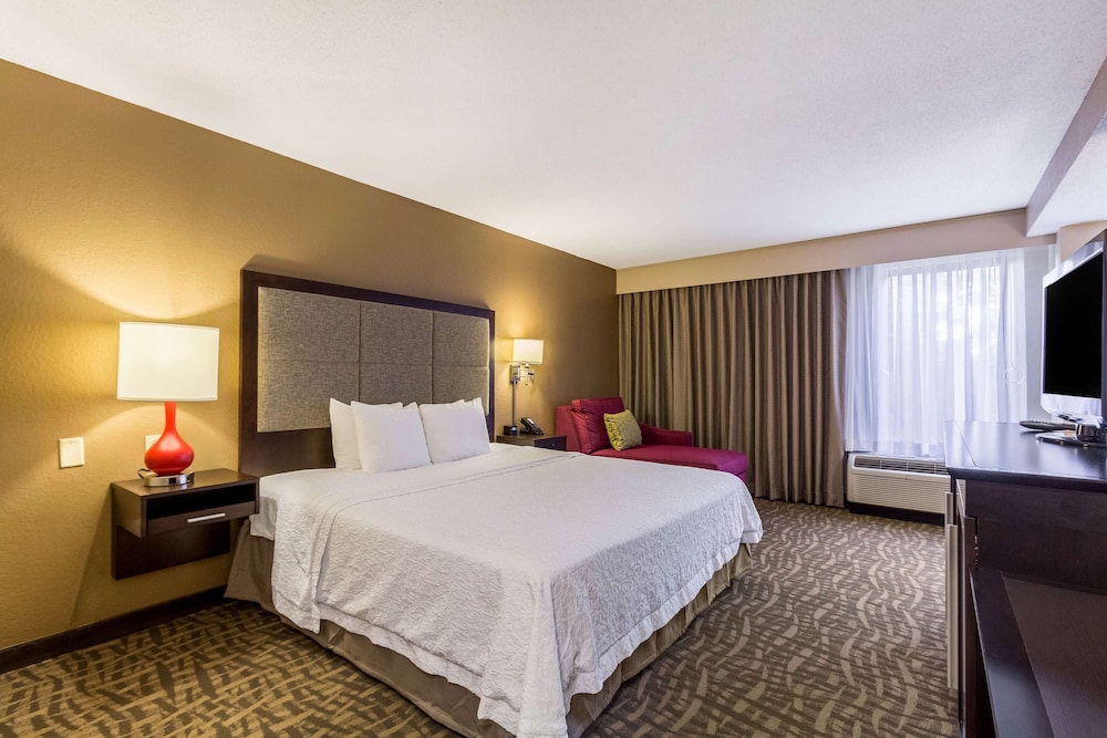 Hampton Inn Jackson Pearl International Airport - photo 20
