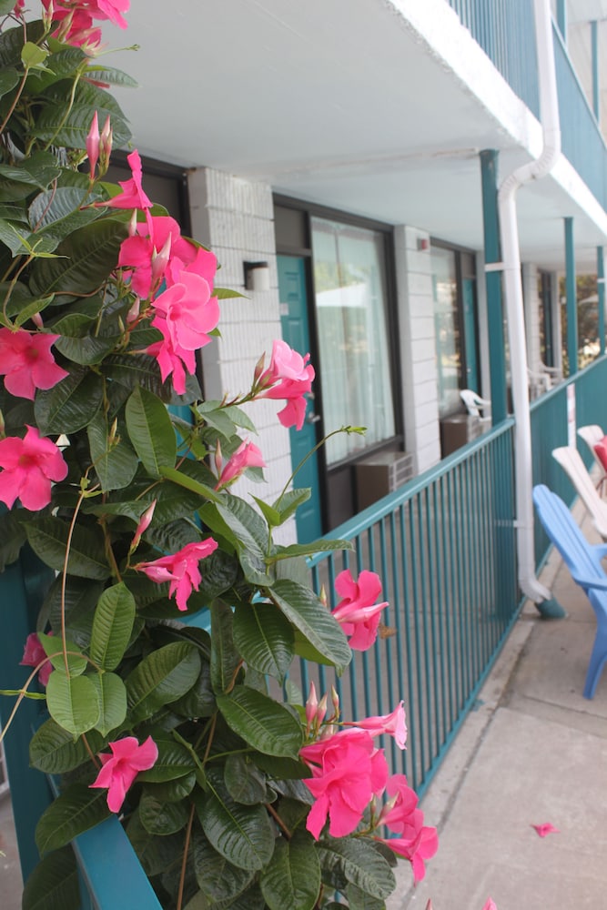 Ozark Valley Inn - photo 50