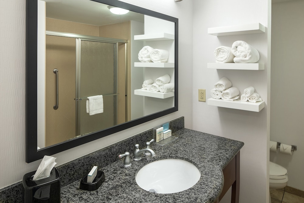 Hampton Inn & Suites Little Rock Downtown - photo 16