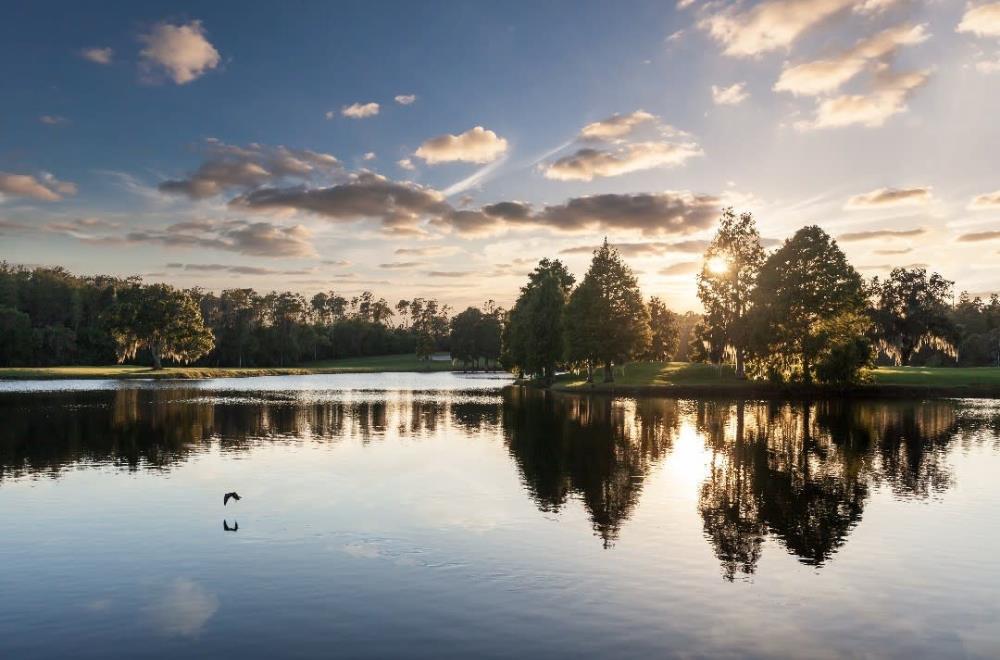 Innisbrook Resort - photo 70