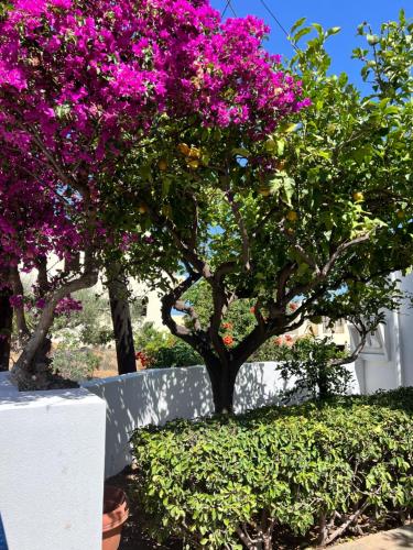 Villa Aliki Piskopiano — 4-Star Luxury Hotel in Hersonissos, Greece