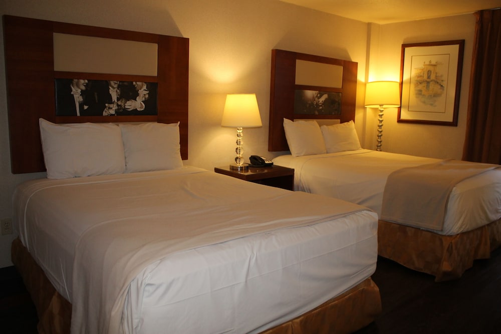 Sunrise Inn Hotel - photo 24