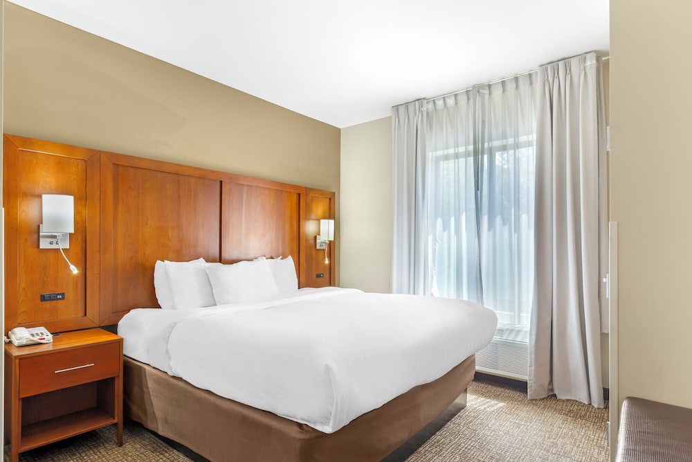 Comfort Suites Greensboro High Point - photo 5