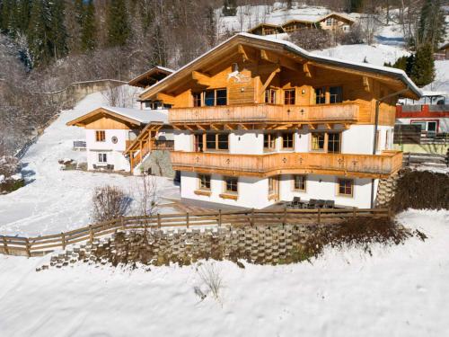 Alpensteinbock Saalbach L — Viehhofen
