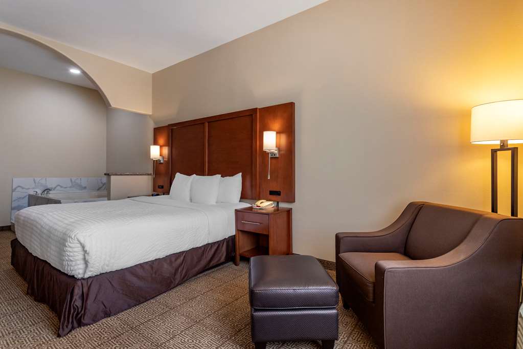 Comfort Suites Houston near Medical Center NRG Stadium - photo 20
