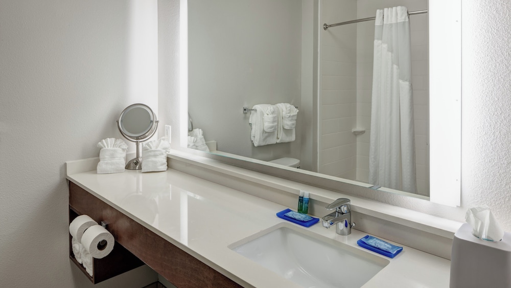 Holiday Inn Express & Suites Orlando at SeaWorld by IHG - photo 33
